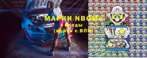 трава Новозыбков
