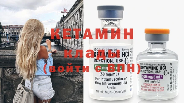 трава Новозыбков