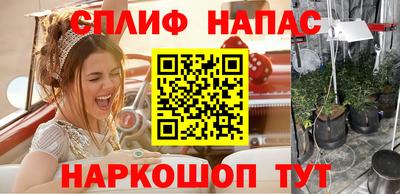 spice Донецк