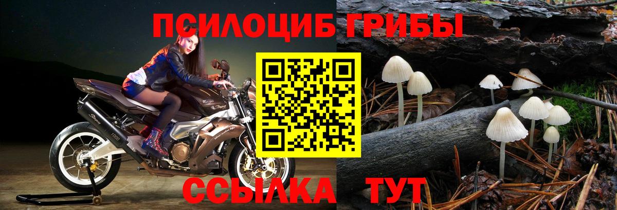 Галлюциногенные грибы MAGIC MUSHROOMS Саяногорск