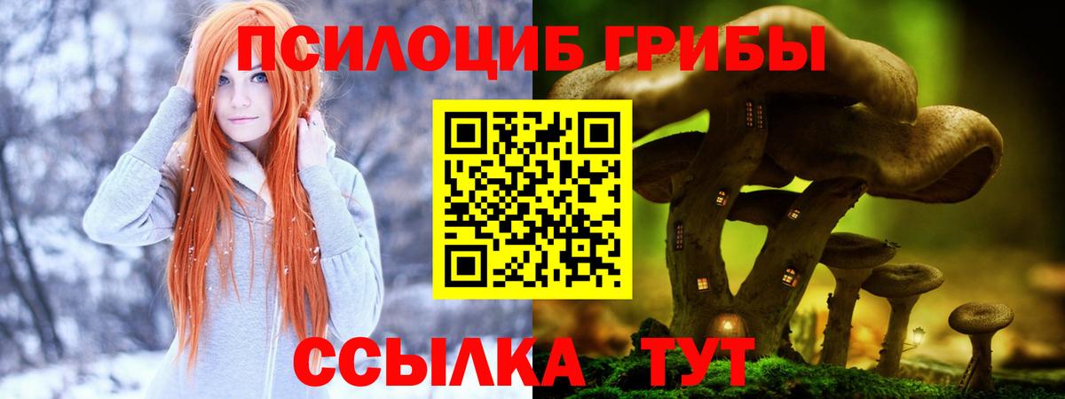 Галлюциногенные грибы GOLDEN TEACHER  даркнет сайт  Саяногорск  Вход с VPN 