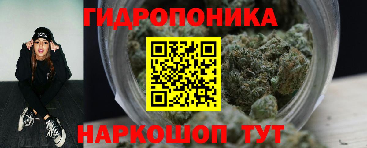 Шишки марихуана Amnesia Саяногорск